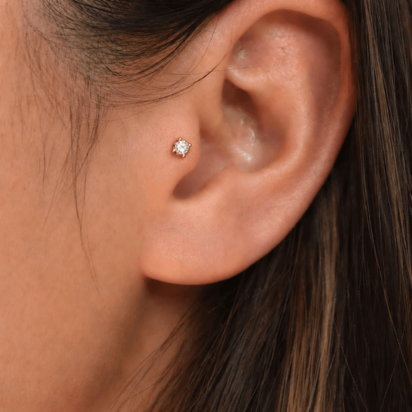 Tragus