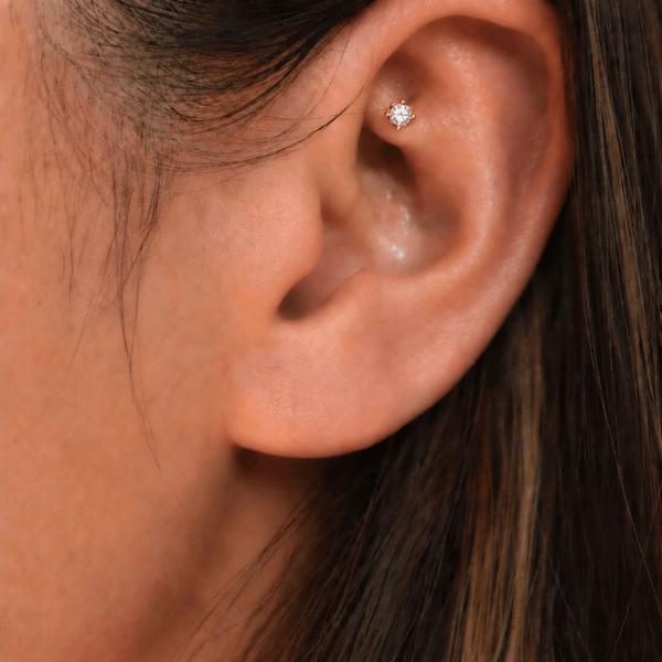 Rook