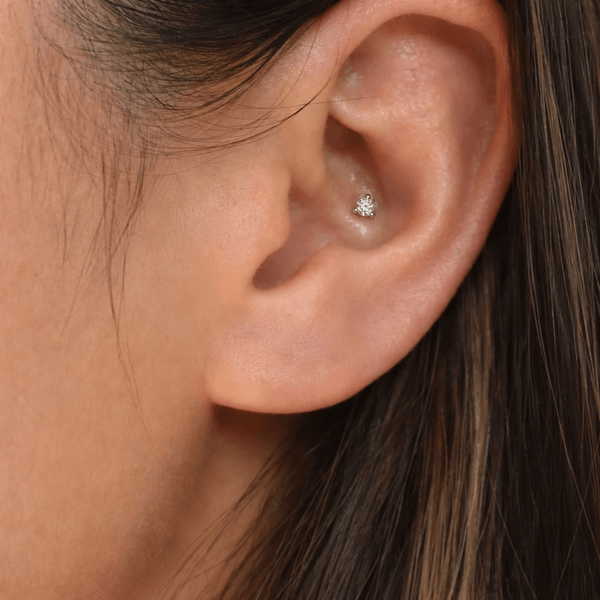 Conch