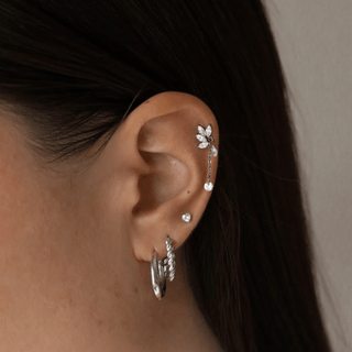 Cartilage - Smoothie London