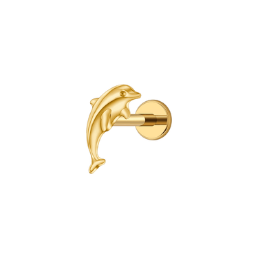 Dolphin flatback stud gold - Smoothie London - Titanium