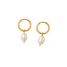 Gilded Pearl Hoops - Smoothie London - Stainless Steel