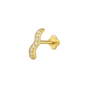 Tidal Flatback Gold