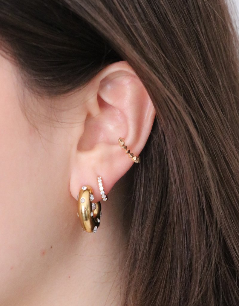 Leopard hoops sale